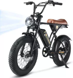 Electric Bike for Adults 750W Motor with 374.4WH Battery, 20MPH 55Miles 20" Fat Tire